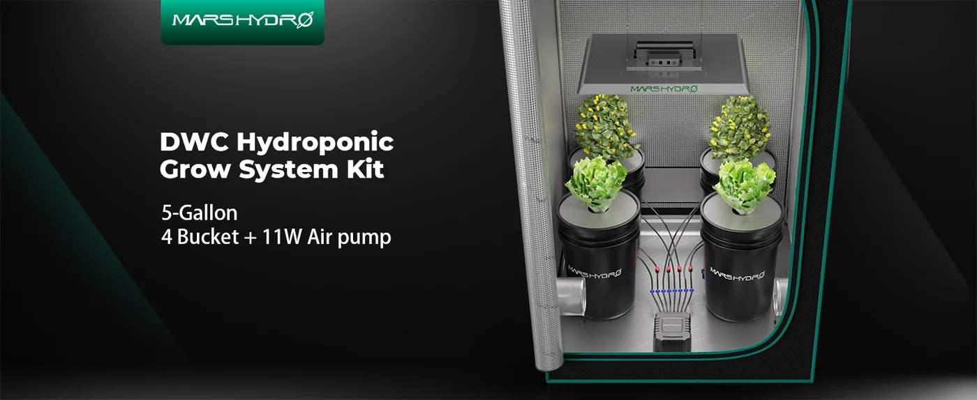 Mars Hydro 5-Gallon DWC Hydroponic System — 4 Bucket